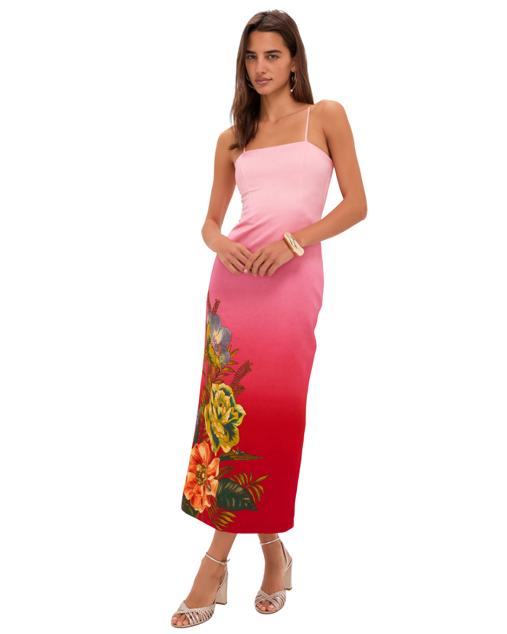 Inez Ombre Dress