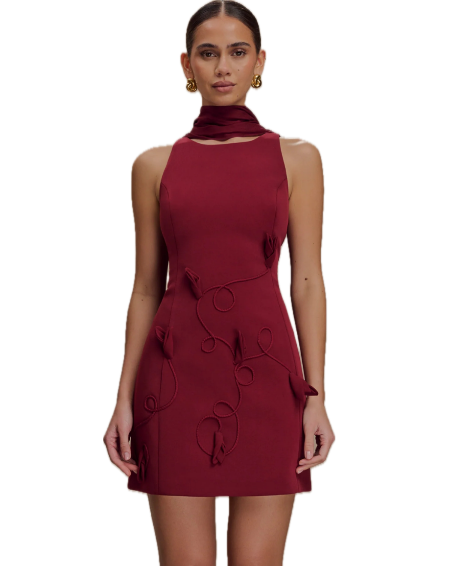 Skyler Embroidered Mini Dress