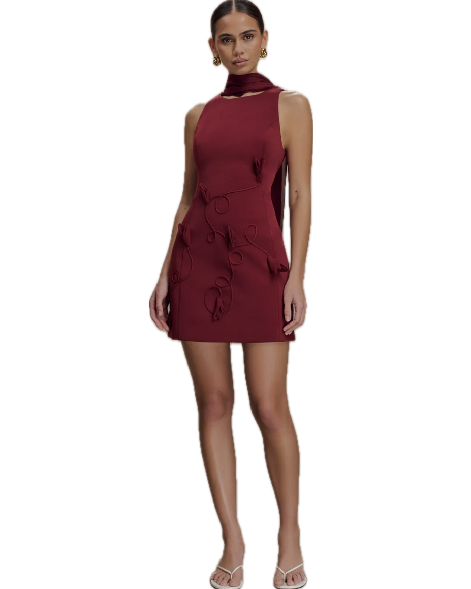 Skyler Embroidered Mini Dress