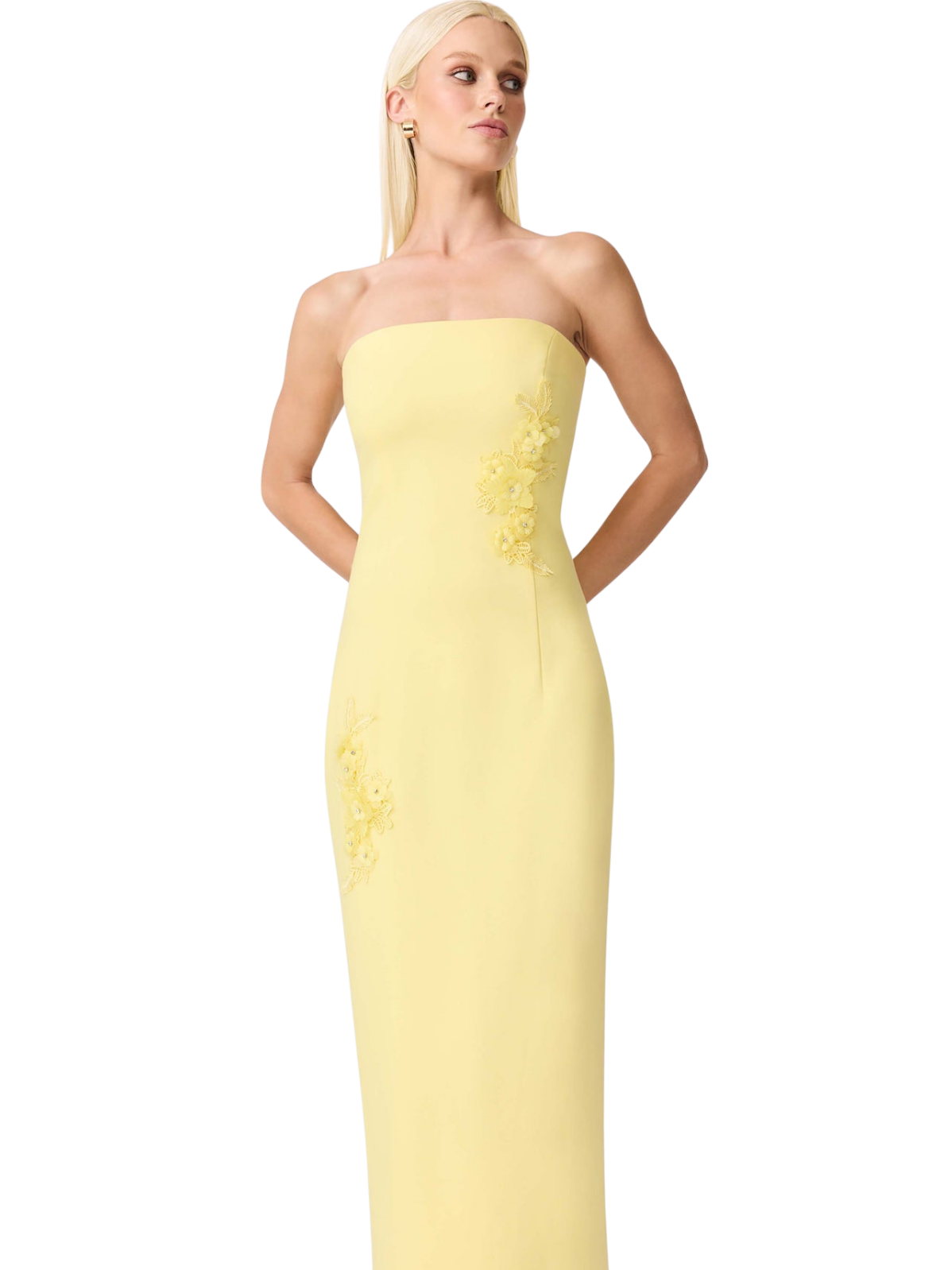 Evee Gown