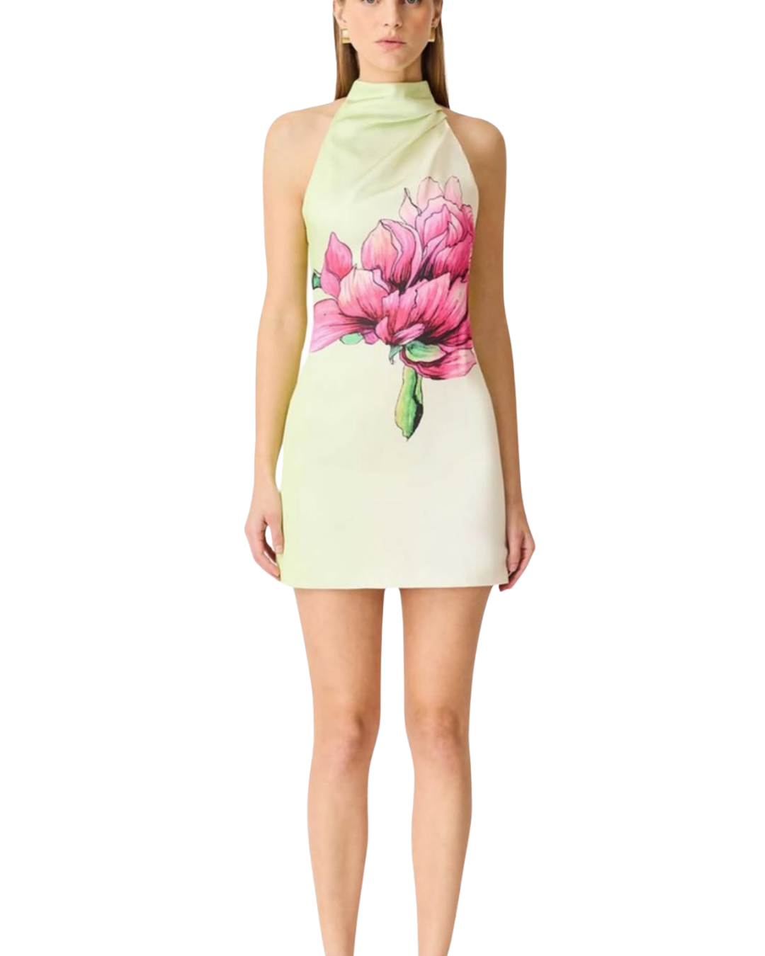 Elisia Halter Dress