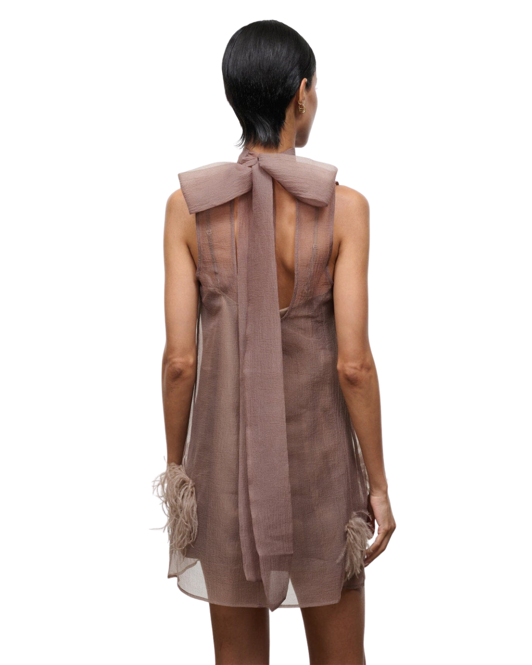 Albee Feather Dress