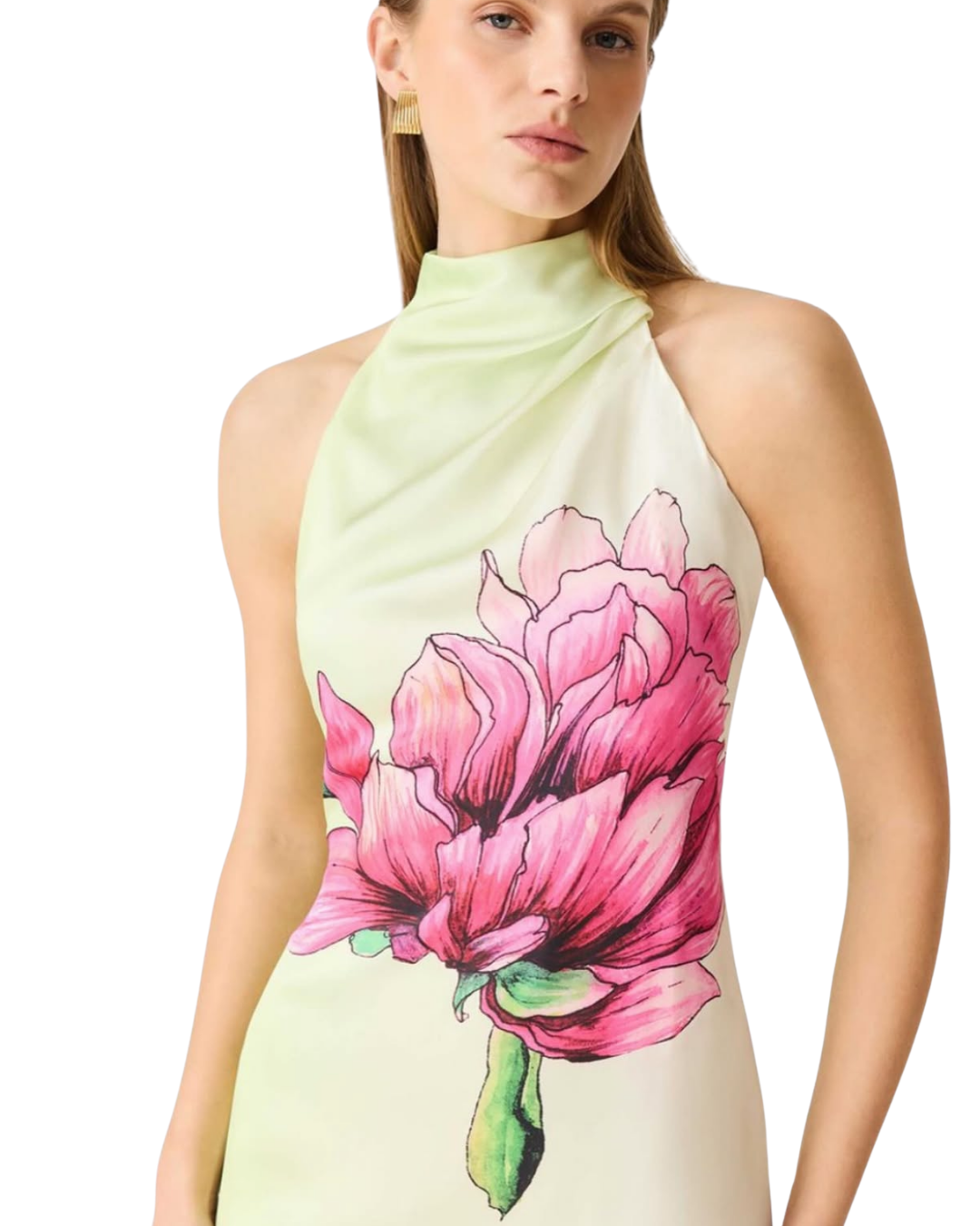 Elisia Halter Dress