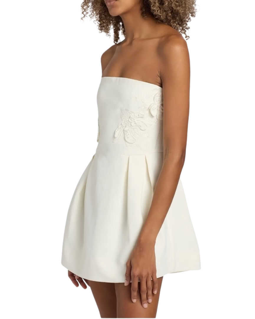 Lily Appliqué Dress